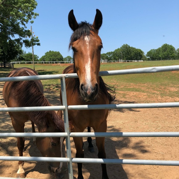 πNew Posh Ambassador as of 10/07/19π - Picture 6 of 8